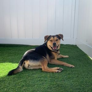 Meet your Posher, Naomi